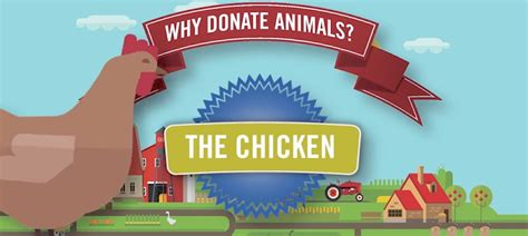 donate a chicken|heifer donate a chicken.